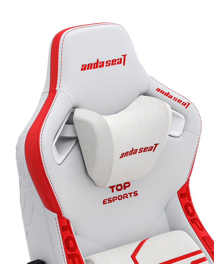 AndaSeat Top Esports Edition Gaming Chair